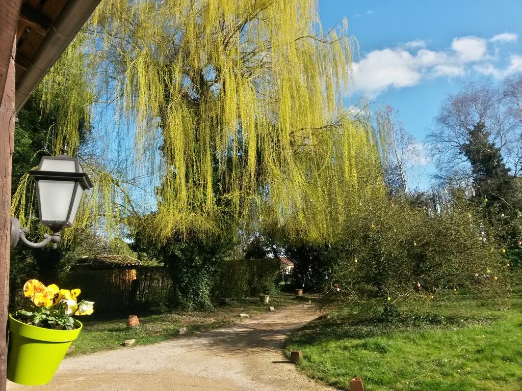 Hostellerie Sarrasine Replonges Exterior foto